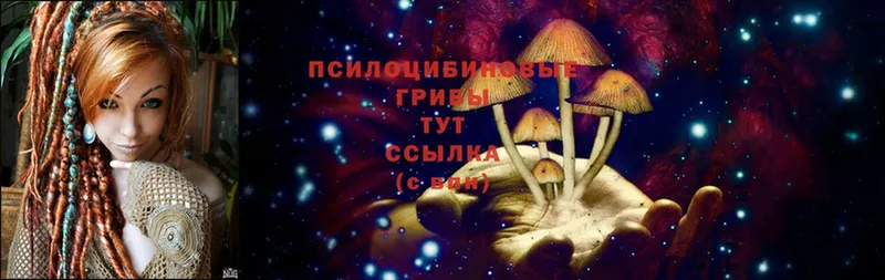 Галлюциногенные грибы Cubensis  Инза 